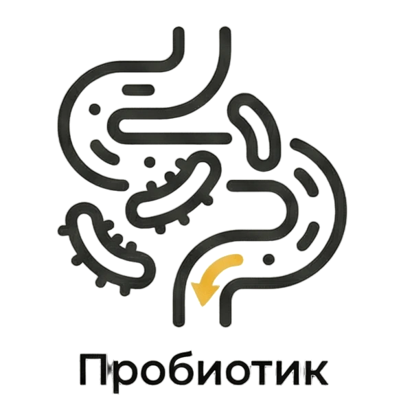 Пробиотик