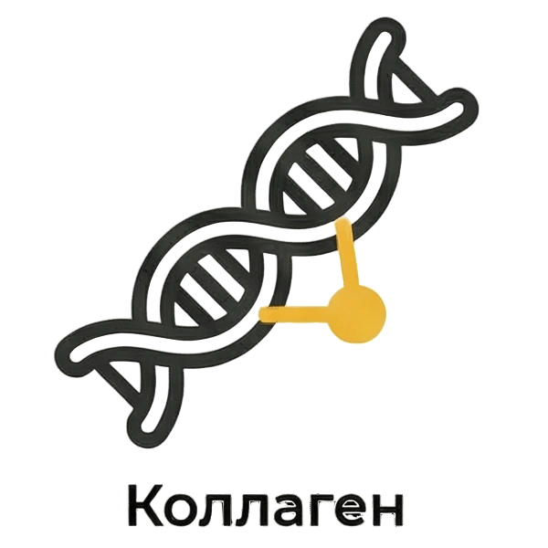 Коллаген